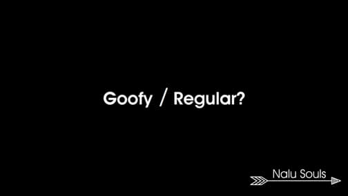 Goofy / Regular